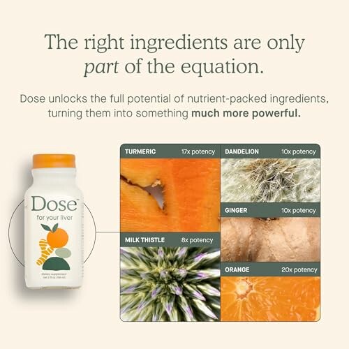 Dose liver supplement with turmeric, dandelion, ginger, milk thistle, orange.